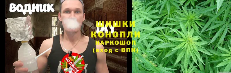 где продают   Закаменск  Каннабис Ganja 